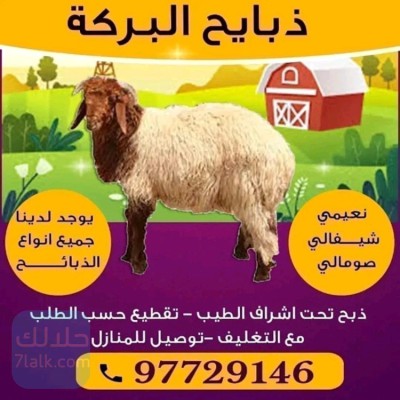 ksab-alkoyt-aghnam-llbyaa-thbayh-llbyaa-97729146-big-0