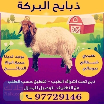 ksab-alkoyt-aghnam-llbyaa-thbayh-llbyaa97729146-big-0