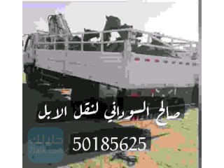 صالح السوداني لنقل الابل