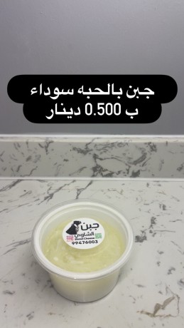 kbd-osbah-alsalm-big-11