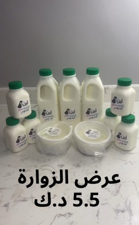 kbd-osbah-alsalm-big-1