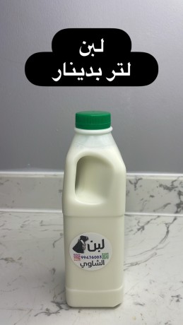 kbd-osbah-alsalm-big-6