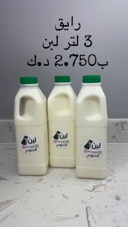 kbd-osbah-alsalm-big-5