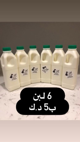 kbd-osbah-alsalm-big-9