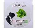 mntgat-almaaaz-small-2