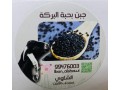 mntgat-almaaaz-small-1