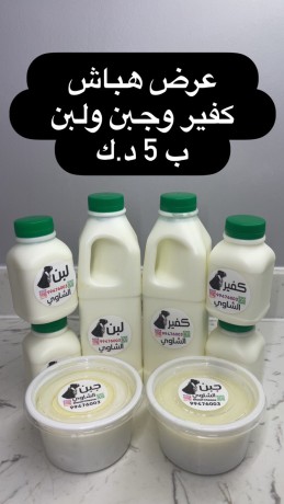 mntgat-almaaaz-big-5