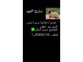alghraaa-small-0