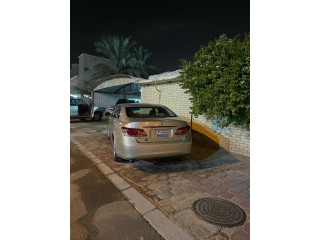 المنقف