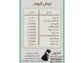 llbyaa-mntgat-almaaaz-small-0