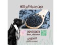 llbyaa-mntgat-almaaaz-small-6