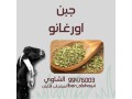 llbyaa-mntgat-almaaaz-small-5