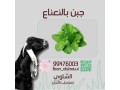 llbyaa-mntgat-almaaaz-small-4