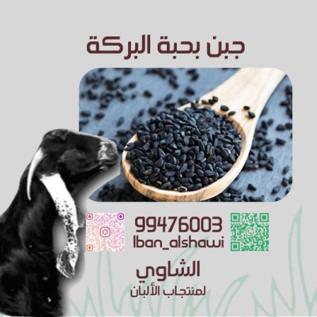llbyaa-mntgat-almaaaz-big-6