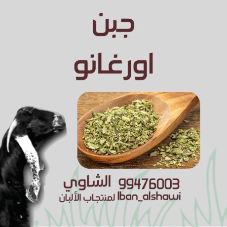 llbyaa-mntgat-almaaaz-big-5