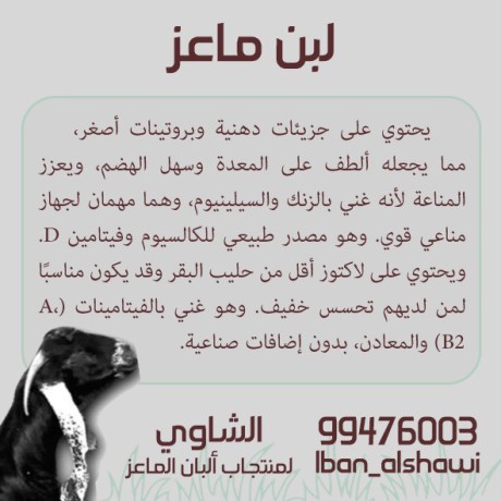 llbyaa-mntgat-almaaaz-big-1