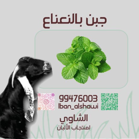 llbyaa-mntgat-almaaaz-big-4