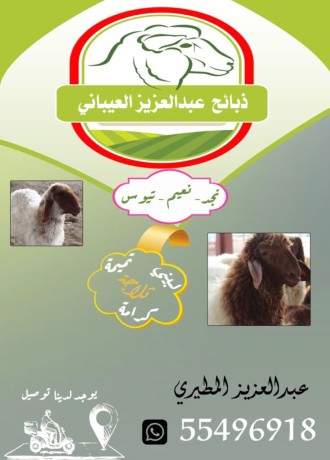 thbyah-aabdalaazyz-alaaybany-big-0