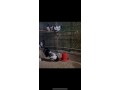 llbyaa-dgag-lakfldrmntg-mtofr-ahgam-oaaamar-mkhtlfh-small-0