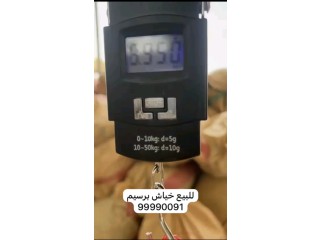 للبيع خياش برسيم