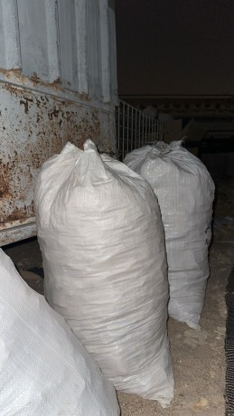 alghraaa-big-1
