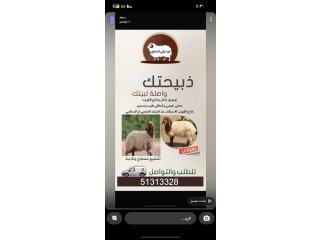 للبيع ذبايخ
