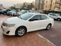 llbyaa-kamry-small-0