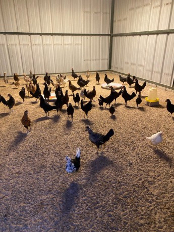 llbyaa-dgag-ofrokh-osysan-ohmam-big-0