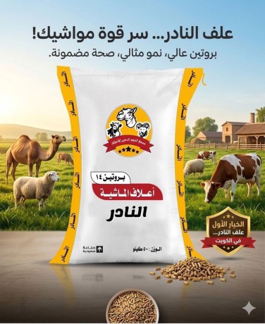 اعلاف النادر