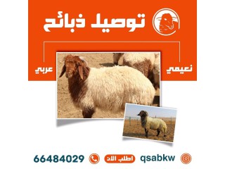 ذبايح للبيع الكويت