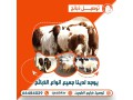 thbayh-llbyaa-ksab-alkoyt-small-3