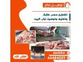 aghnam-llbyaa-khrfan-llbyaa-tosyl-thbayh-small-2