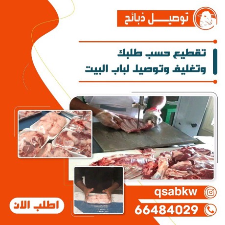 aghnam-llbyaa-khrfan-llbyaa-tosyl-thbayh-big-2
