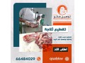 thbayh-llbyaa-tosyl-khrfan-66484029-small-2