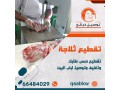 thbayh-llbyaa-tosyl-khrfan-66484029-small-4