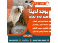 thbayh-llbyaa-tosyl-khrfan-66484029-small-1