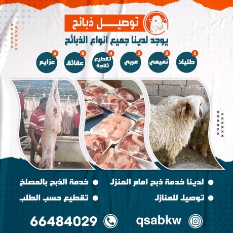 thbayh-llbyaa-tosyl-khrfan-66484029-big-3