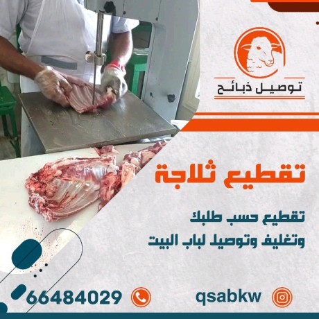 thbayh-llbyaa-tosyl-khrfan-66484029-big-4