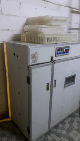 llbyaa-fkash-hgm-1056-big-2