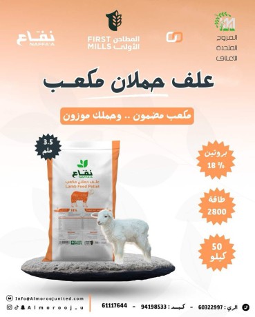علف حملان مكعب 18%