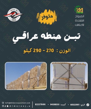 حنطه عراقي 270 - 290 كيلو