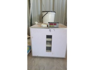 للبيع فقاسه ابو يوسف الباكستاني ٢٥٠ بيضه