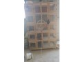 llbyaa-hdanat-llsysan-o-khanh-hmam-small-2