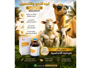 الري مقابل سوق حراج