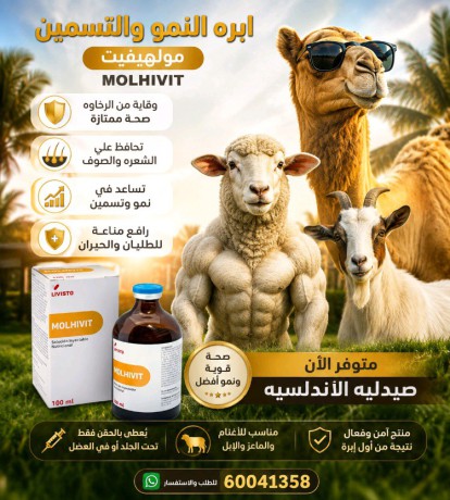 الري مقابل سوق حراج