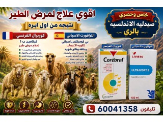 الري امام سوق الحراج