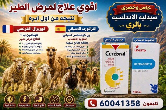 الري امام سوق الحراج