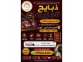 mtofr-ldyna-thbayh-naaym-small-0